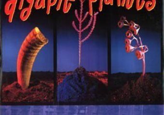 Digable Planets — Rebirth Of Slick (1993)