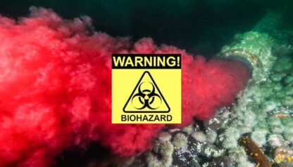 [ZAP #200] Tavish Campbell — Blood water: B.C.’s dirty salmon farming secret