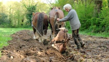 [Zap #211] 19|20 Bretagne (France 3) — La ferme de Penprat (Jean-Bernard Huon)