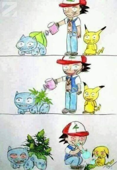 Pokeweed