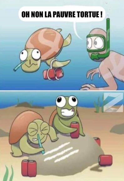 De la sale écaille de tortue