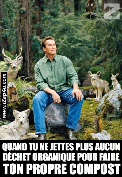 Le bonheur est dans le pré