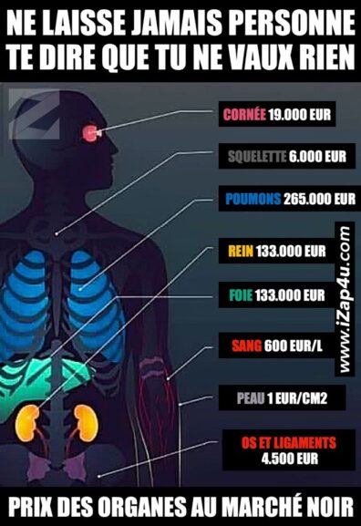 Toute chose est à vendre