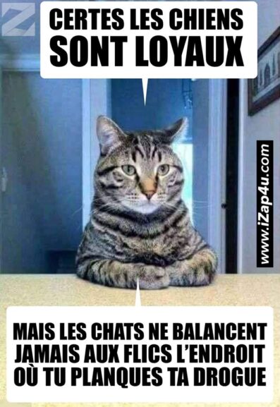 Muet comme une tombe