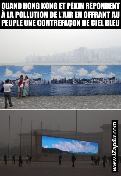 Cynisme puissance 1000