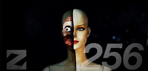 Zap #256 (Full version)
