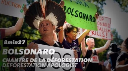 Bolsonaro : chantre de la déforestation